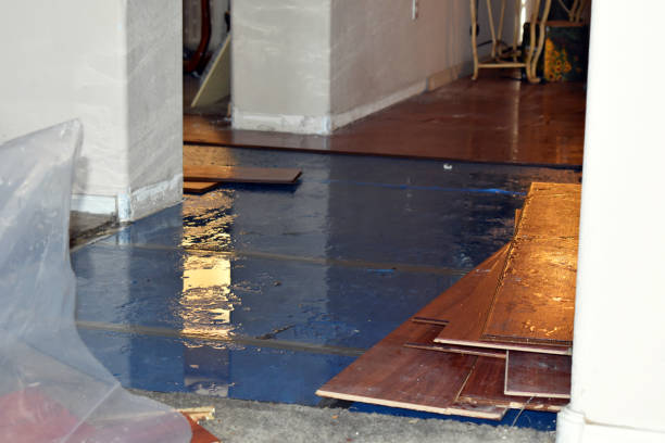 Professional Burst Pipe Cleanup technician working in Thomasville, NC